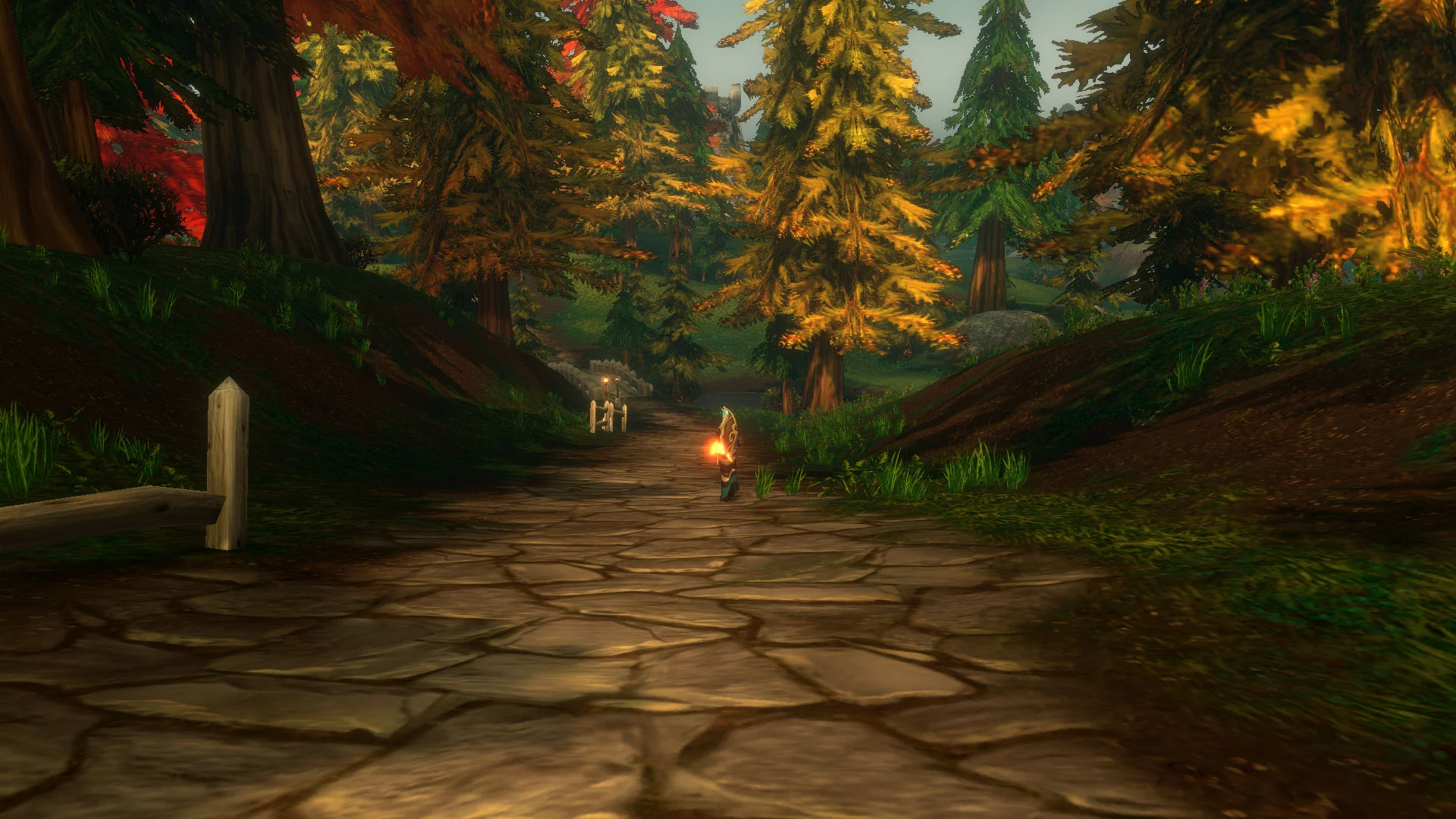 Blizzard lade till en fungerande fackla i WoW: Forever – Jag vandrade över hela Azeroth för att få tag i den